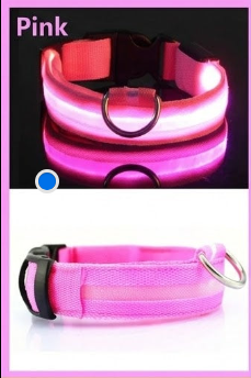 High Visibility Safety Dog Collar