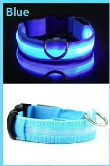 High Visibility Safety Dog Collar