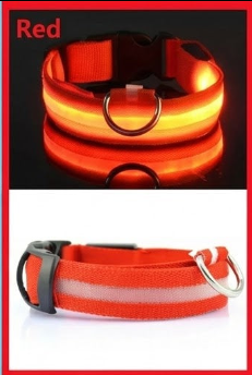 High Visibility Safety Dog Collar