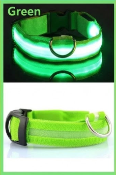 High Visibility Safety Dog Collar