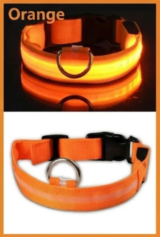 High Visibility Safety Dog Collar