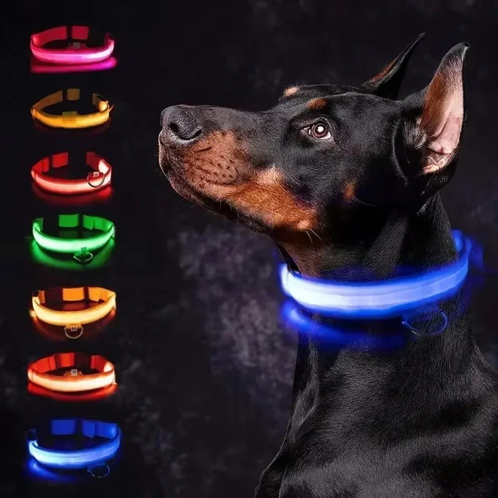 High Visibility Safety Dog Collar