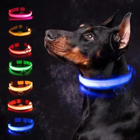 High Visibility Safety Dog Collar
