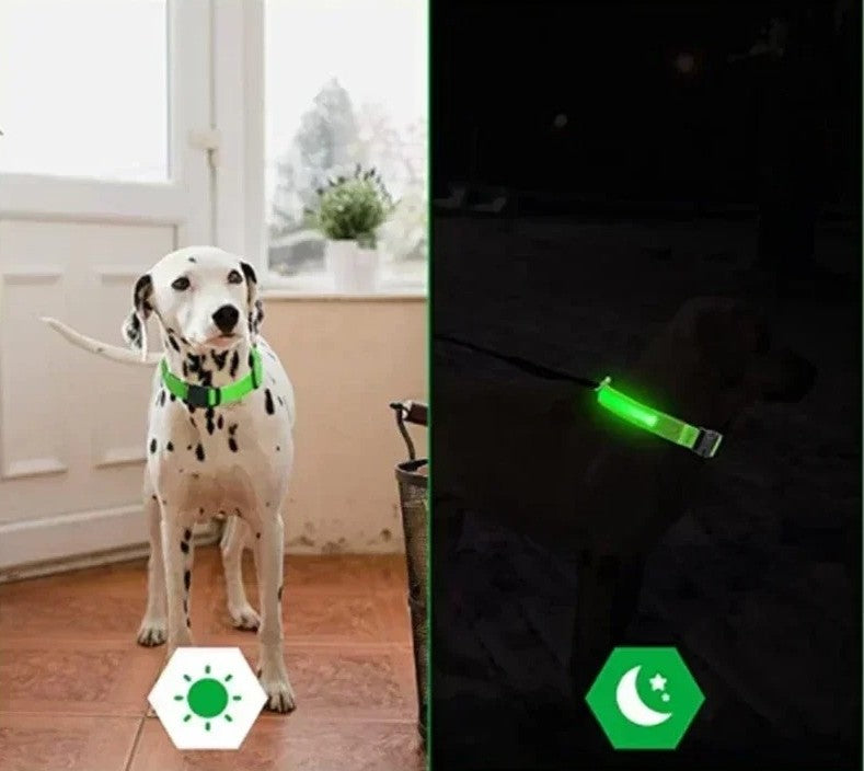 High Visibility Safety Dog Collar