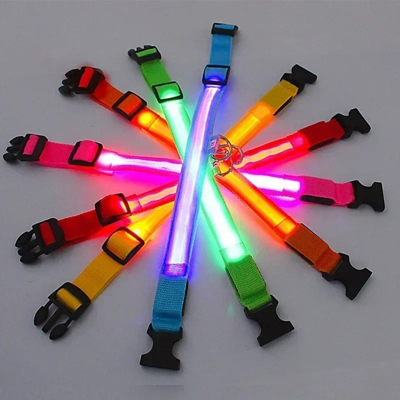 High Visibility Safety Dog Collar